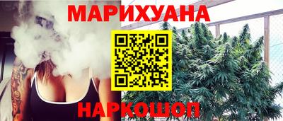 крисы Кинель